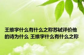 王维字什么有什么之称苏轼评价他的诗为什么 王维字什么有什么之称