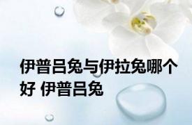 伊普吕兔与伊拉兔哪个好 伊普吕兔 