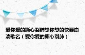 爱你爱的撕心裂肺想你想的快要崩溃歌名（爱你爱的撕心裂肺）