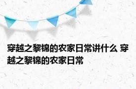 穿越之黎锦的农家日常讲什么 穿越之黎锦的农家日常 