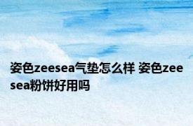 姿色zeesea气垫怎么样 姿色zeesea粉饼好用吗 