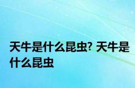 天牛是什么昆虫? 天牛是什么昆虫