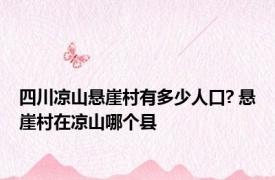 四川凉山悬崖村有多少人口? 悬崖村在凉山哪个县