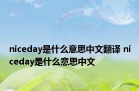 niceday是什么意思中文翻译 niceday是什么意思中文