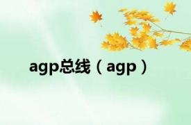 agp总线（agp）