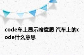 code车上显示啥意思 汽车上的code什么意思