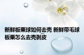 新鲜板栗球如何去壳 新鲜带毛球板栗怎么去壳剥皮