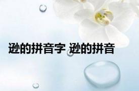 逊的拼音字 逊的拼音 