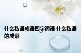 什么私语成语四字词语 什么私语的成语