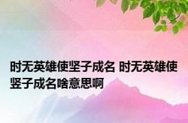 时无英雄使坚子成名 时无英雄使竖子成名啥意思啊