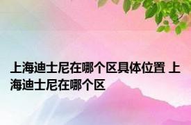 上海迪士尼在哪个区具体位置 上海迪士尼在哪个区 