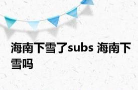 海南下雪了subs 海南下雪吗 