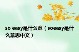 so easy是什么意（soeasy是什么意思中文）