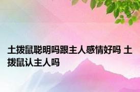 土拨鼠聪明吗跟主人感情好吗 土拨鼠认主人吗