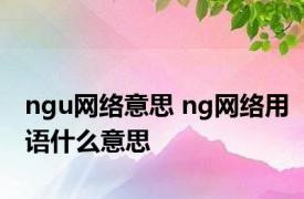 ngu网络意思 ng网络用语什么意思 