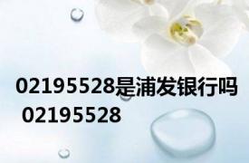 02195528是浦发银行吗 02195528 