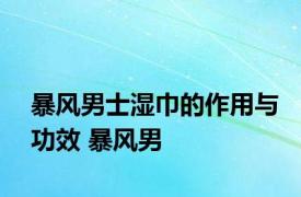 暴风男士湿巾的作用与功效 暴风男 