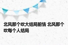 北风那个吹大结局前情 北风那个吹每个人结局