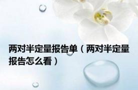 两对半定量报告单（两对半定量报告怎么看）