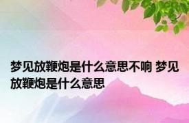 梦见放鞭炮是什么意思不响 梦见放鞭炮是什么意思