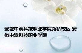 安徽中澳科技职业学院新桥校区 安徽中澳科技职业学院 