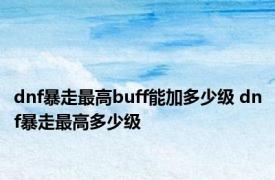 dnf暴走最高buff能加多少级 dnf暴走最高多少级