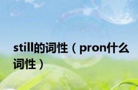 still的词性（pron什么词性）