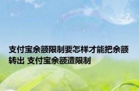 支付宝余额限制要怎样才能把余额转出 支付宝余额遭限制 