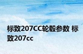 标致207CC轮毂参数 标致207cc 