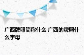 广西牌照简称什么 广西的牌照什么字母