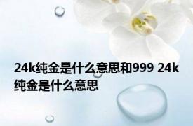 24k纯金是什么意思和999 24k纯金是什么意思