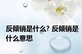 反倾销是什么? 反倾销是什么意思