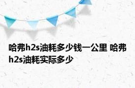 哈弗h2s油耗多少钱一公里 哈弗h2s油耗实际多少