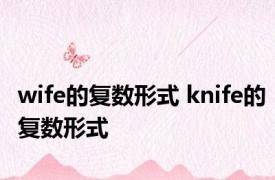 wife的复数形式 knife的复数形式 