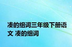 凑的组词三年级下册语文 凑的组词 