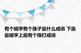 有个暗字有个珠子是什么成语 下面是暗字上面有个珠打成语