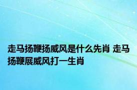 走马扬鞭扬威风是什么先肖 走马扬鞭展威风打一生肖 