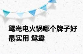 鸳鸯电火锅哪个牌子好最实用 鸳鸯 