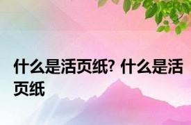 什么是活页纸? 什么是活页纸