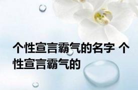 个性宣言霸气的名字 个性宣言霸气的