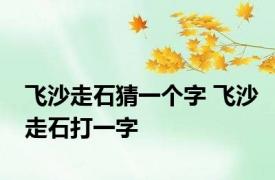 飞沙走石猜一个字 飞沙走石打一字