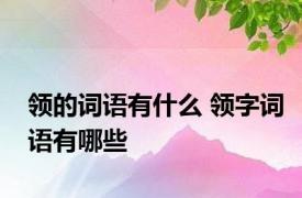 领的词语有什么 领字词语有哪些