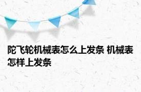 陀飞轮机械表怎么上发条 机械表怎样上发条