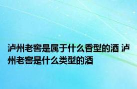 泸州老窖是属于什么香型的酒 泸州老窖是什么类型的酒