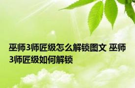 巫师3师匠级怎么解锁图文 巫师3师匠级如何解锁