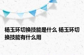 杨玉环切换技能是什么 杨玉环切换技能有什么用