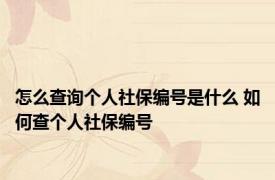 怎么查询个人社保编号是什么 如何查个人社保编号