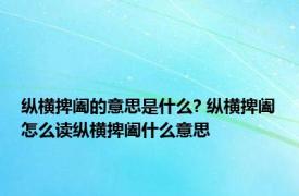 纵横捭阖的意思是什么? 纵横捭阖怎么读纵横捭阖什么意思