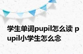 学生单词pupil怎么读 pupil小学生怎么念