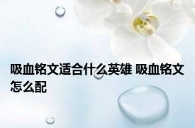 吸血铭文适合什么英雄 吸血铭文怎么配